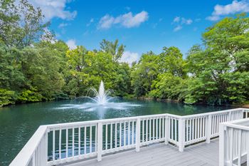 Pond